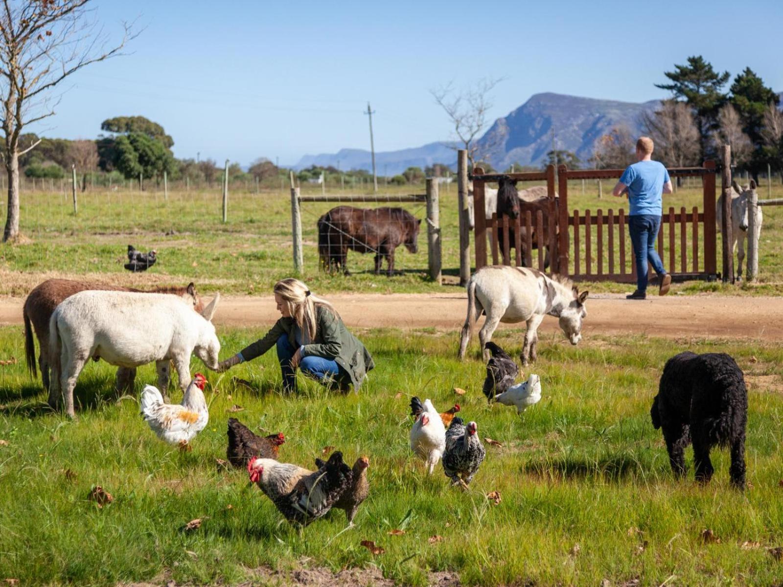 Rivergate Guest Farm Stanford Extérieur photo